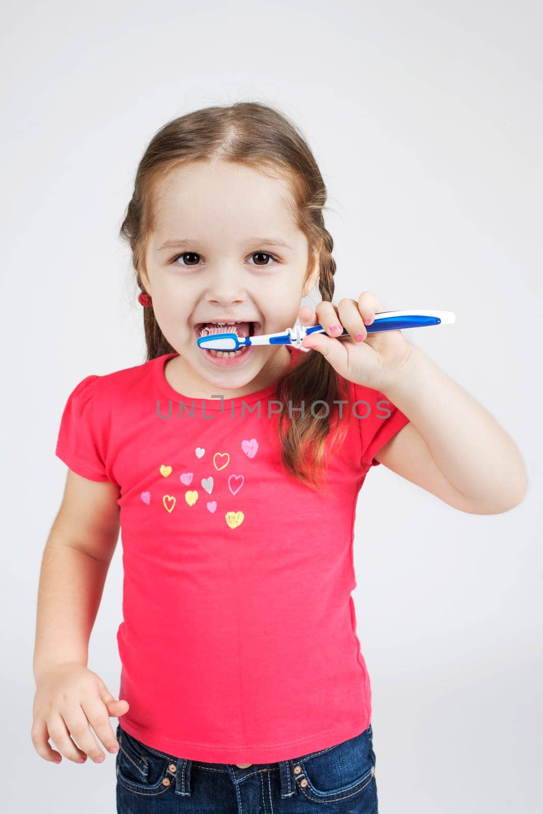 Little Smiling Girl Brushing Teeth.  Toddler Portrait on the gray