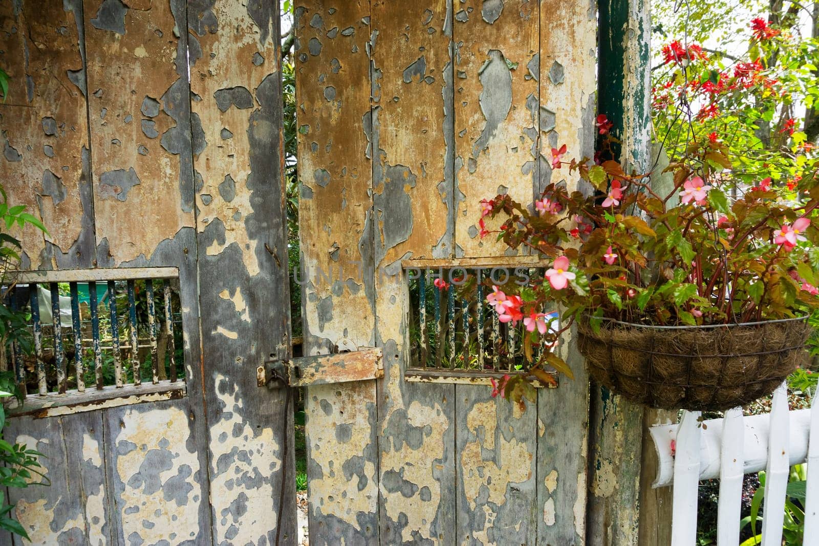 Flowers hanging next to an old rustic wooden door in Salento, Colombia