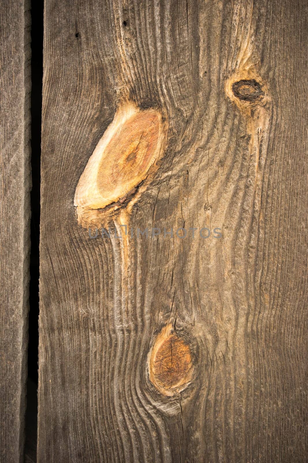 Looking thru a crack in the wood plank barn wall with a big knot