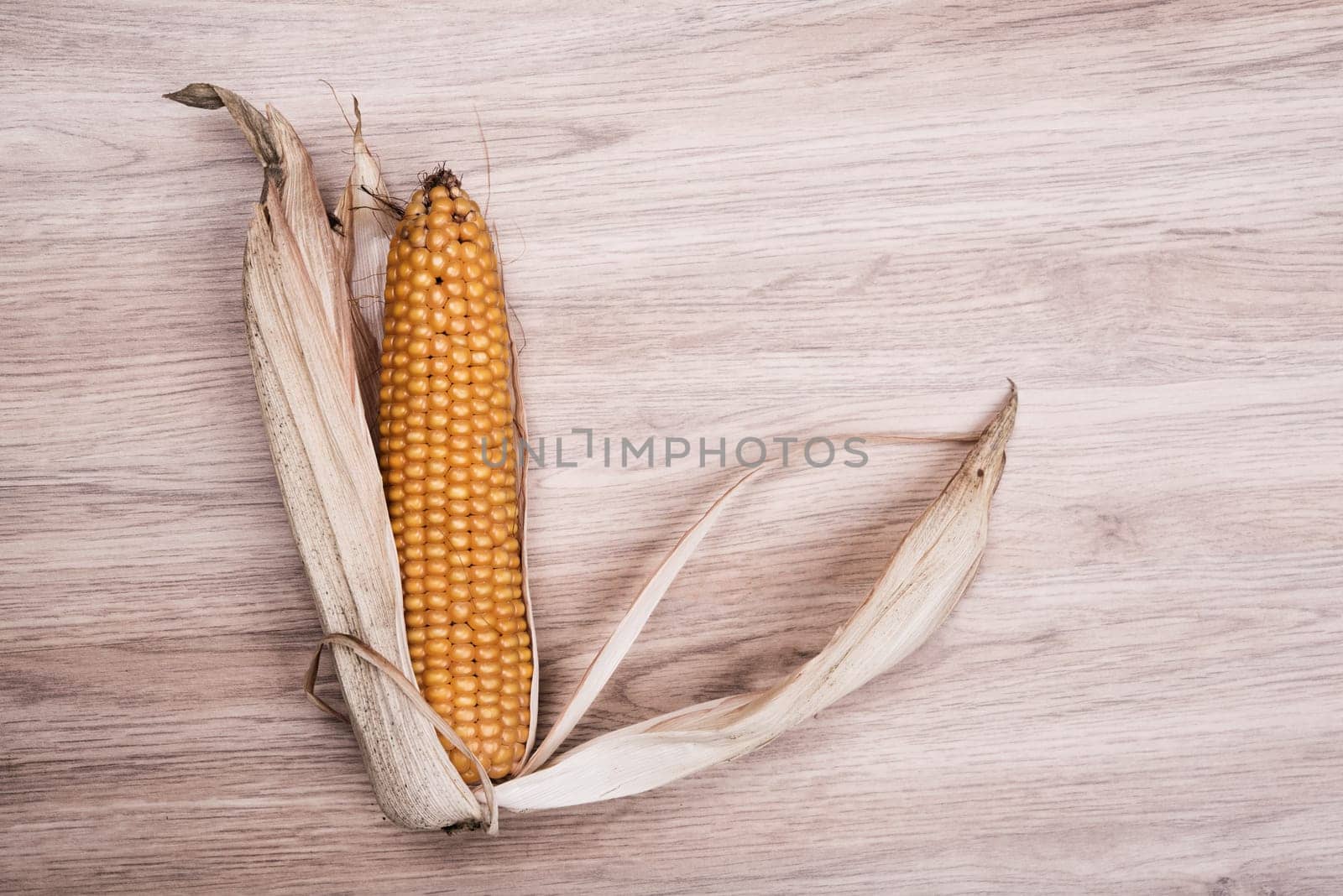 still- life- ripe corncob on wooden ground