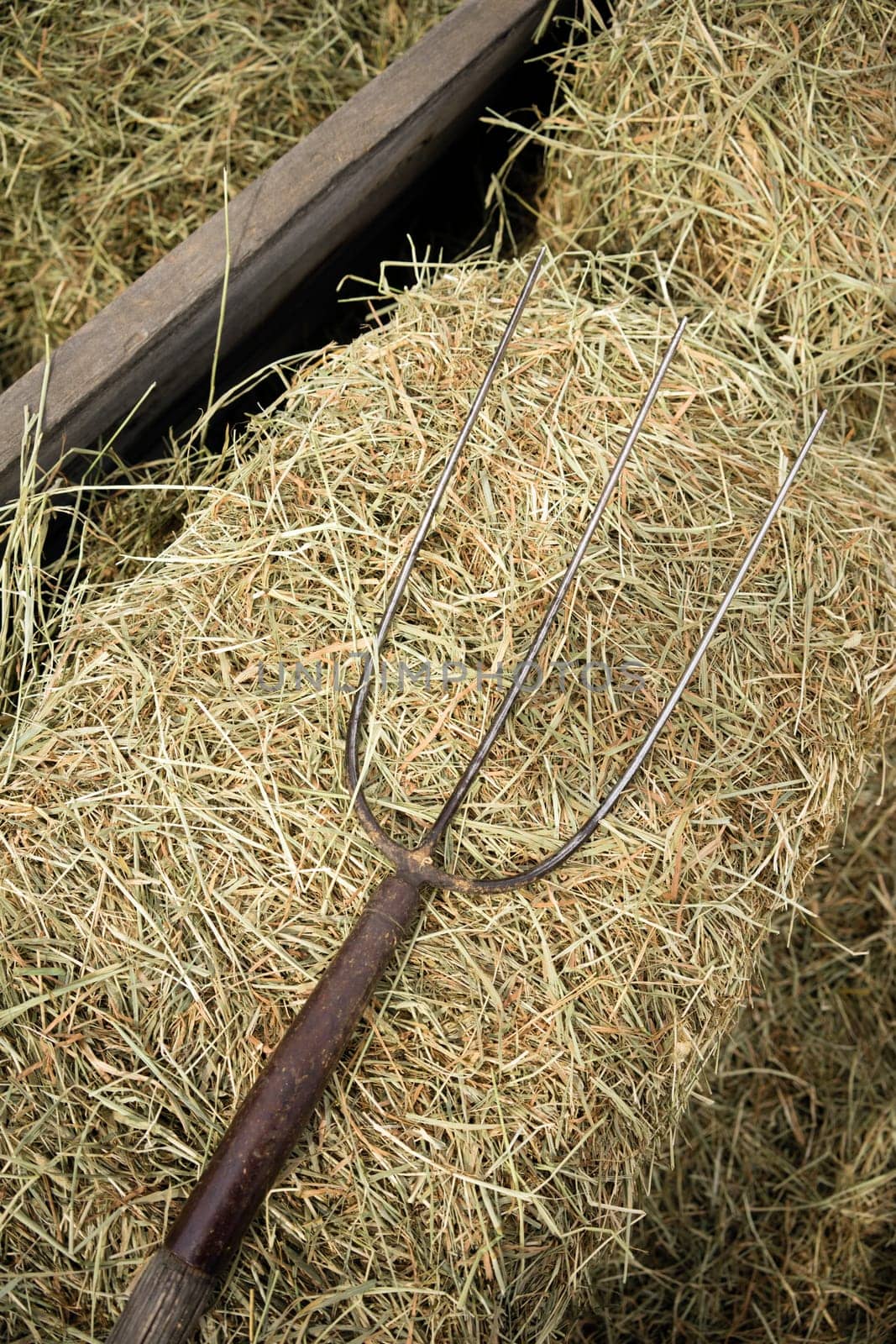 Pitchfork lays in the barn hay rural farm