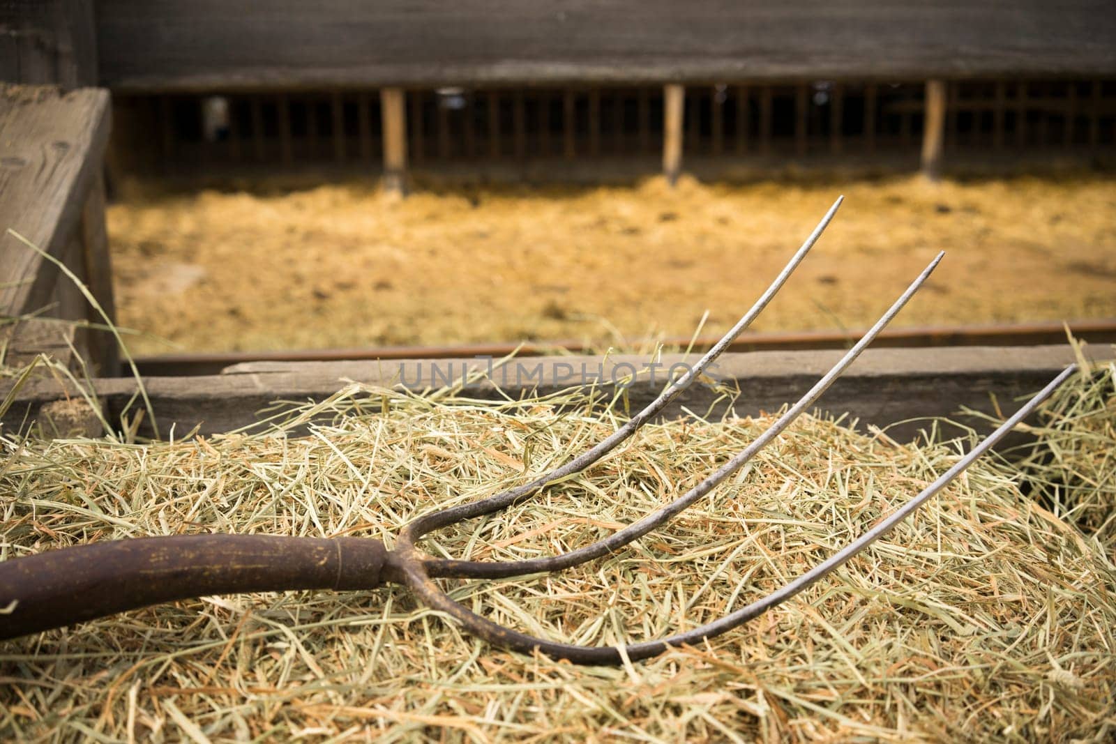 Pitchfork lays in the barn hay rural farm
