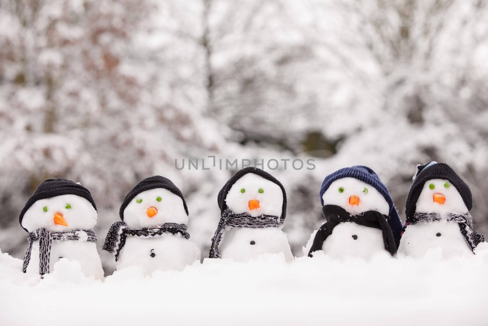 Five cute snowmen dressed for winter, all facing forward and sat on snow. Snowmen wearing hats and scarfs with carrot noses. Winter scene in the background with trees covered.