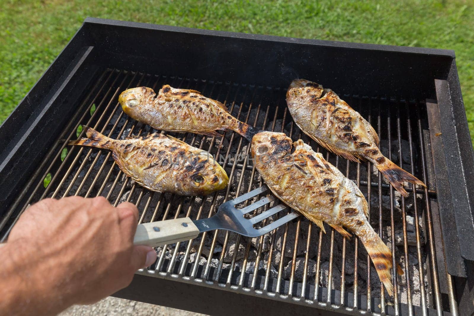 Dorada Fish Barbecued On The Grill Outdoor. Spanish Cuisine