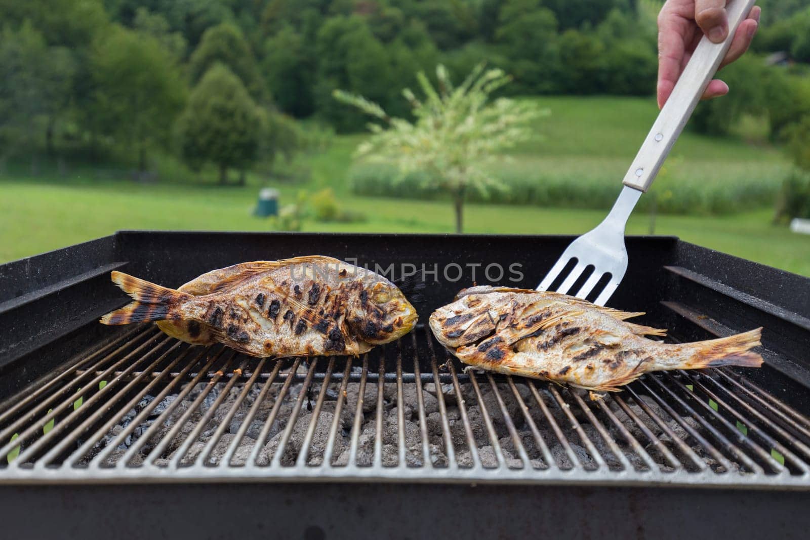 Dorada Fish Barbecued On The Grill Outdoor. Spanish Cuisine