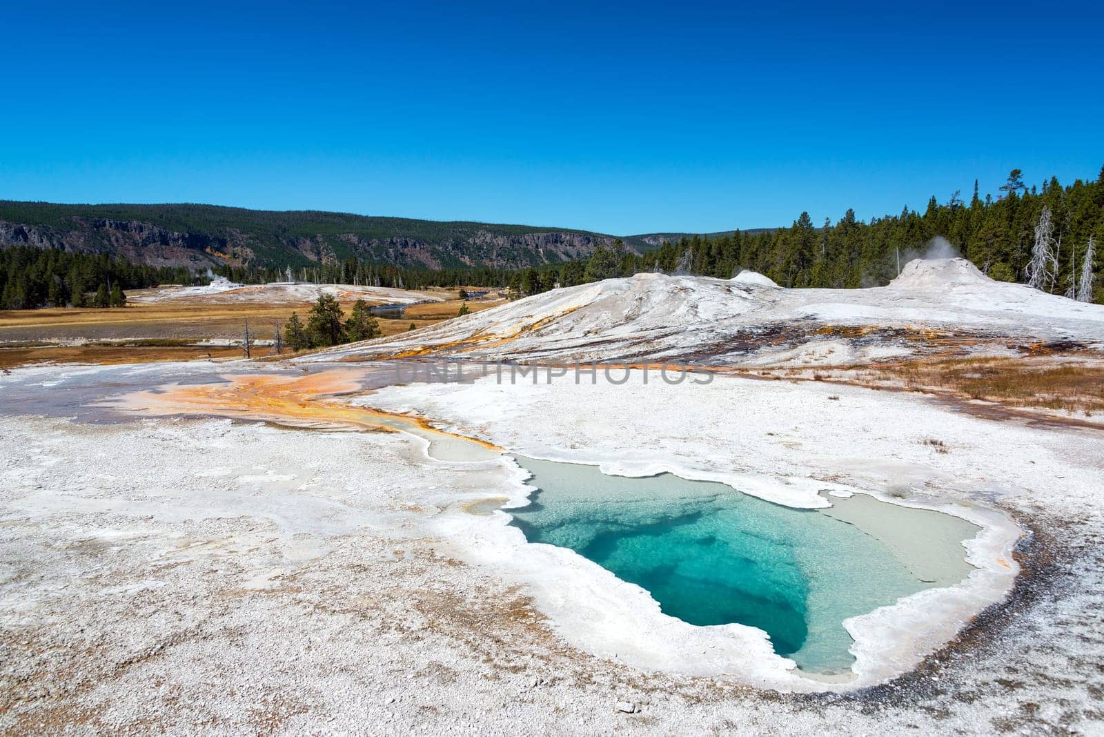 View of the Heart Spring in the Upper Geyser Basin in Yellowstone National Park