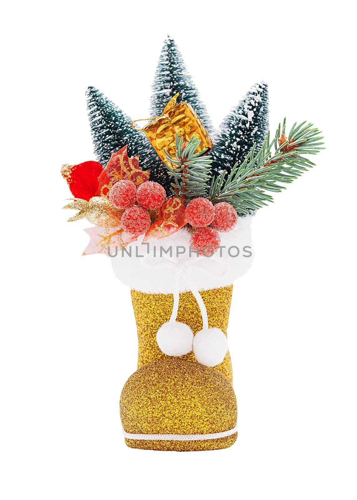 Golden Boots of Santa Claus with Christmas decorations isolated