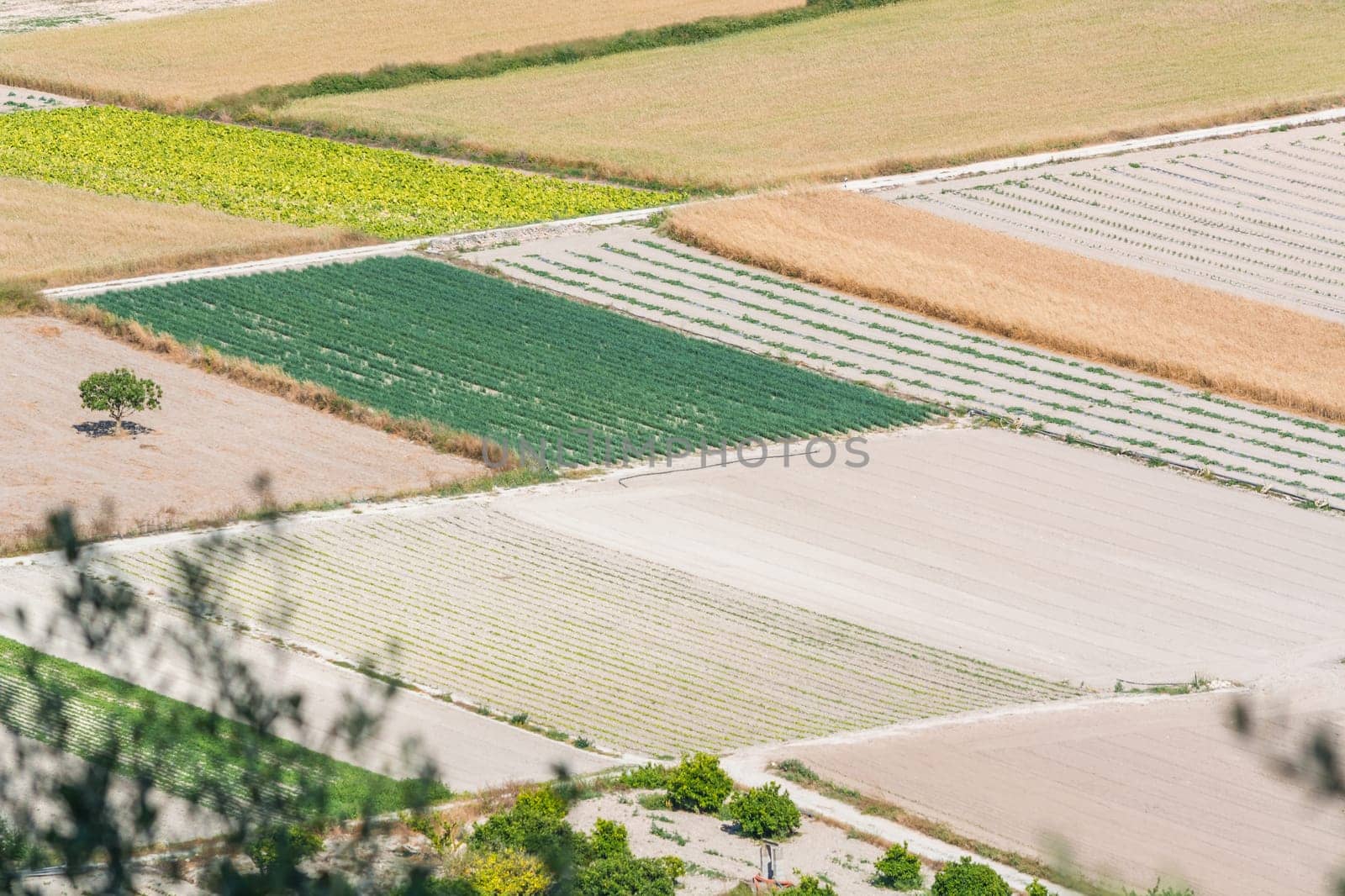 Landscape panorama with smaller fields,mountains and trees in the interior of Mallorca,Spain.