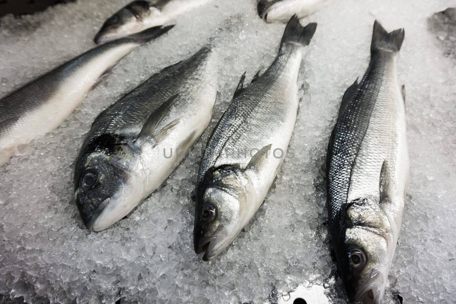 fresh fish on ice