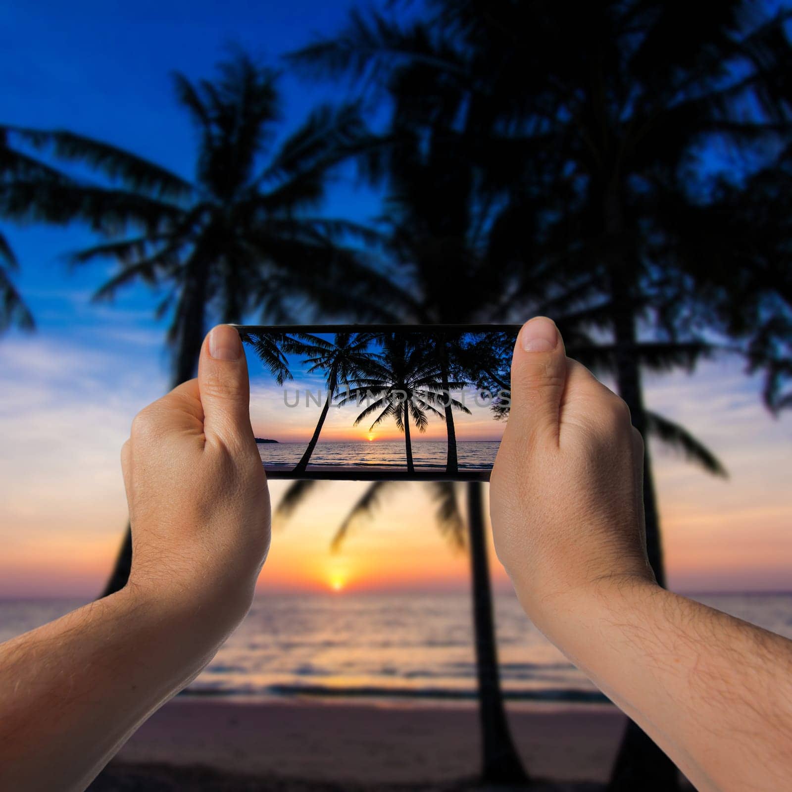 Nice sunset. Tropical sunset, palm trees. Hand with a smartphone. Taking photo