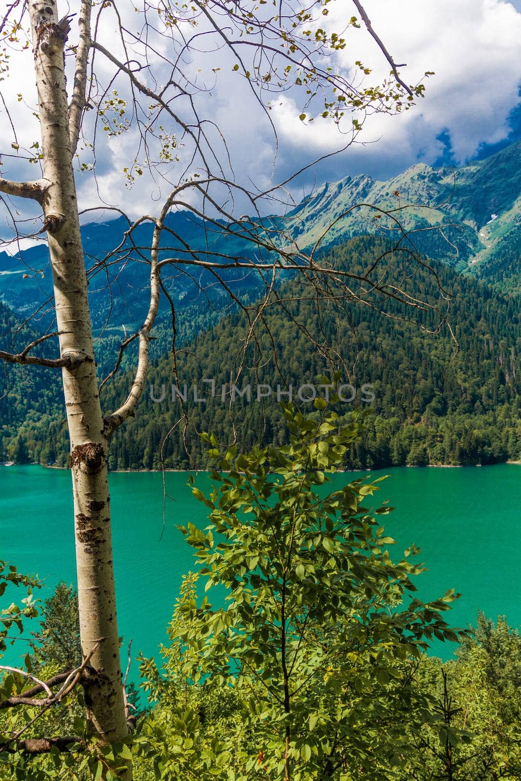 Beautiful landscape with lake, forest and mountains