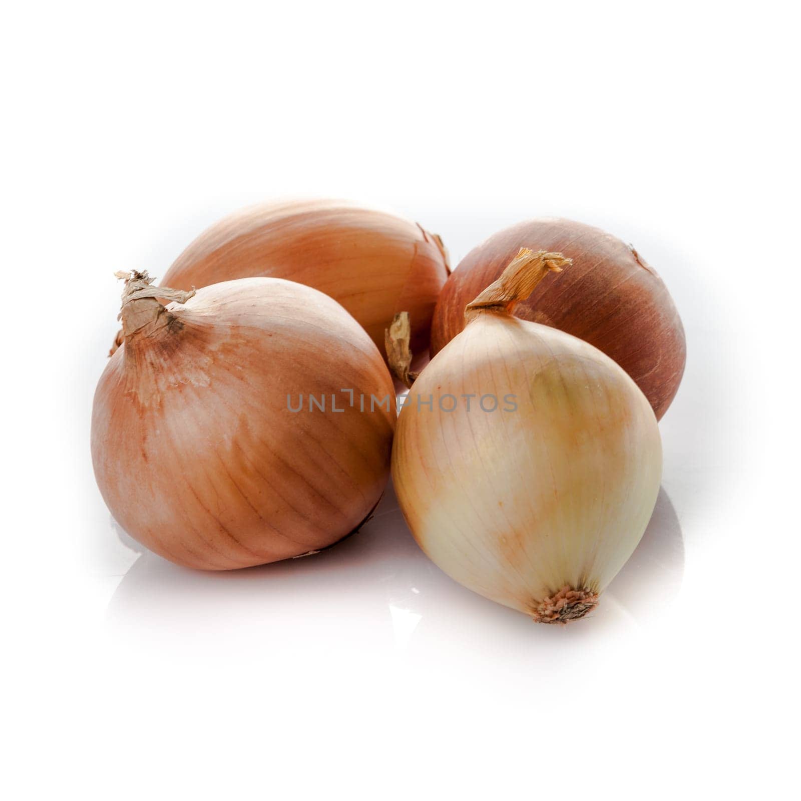 Ripe onion on a white background