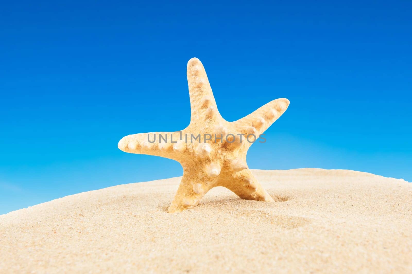 Summer time background. Summer concept