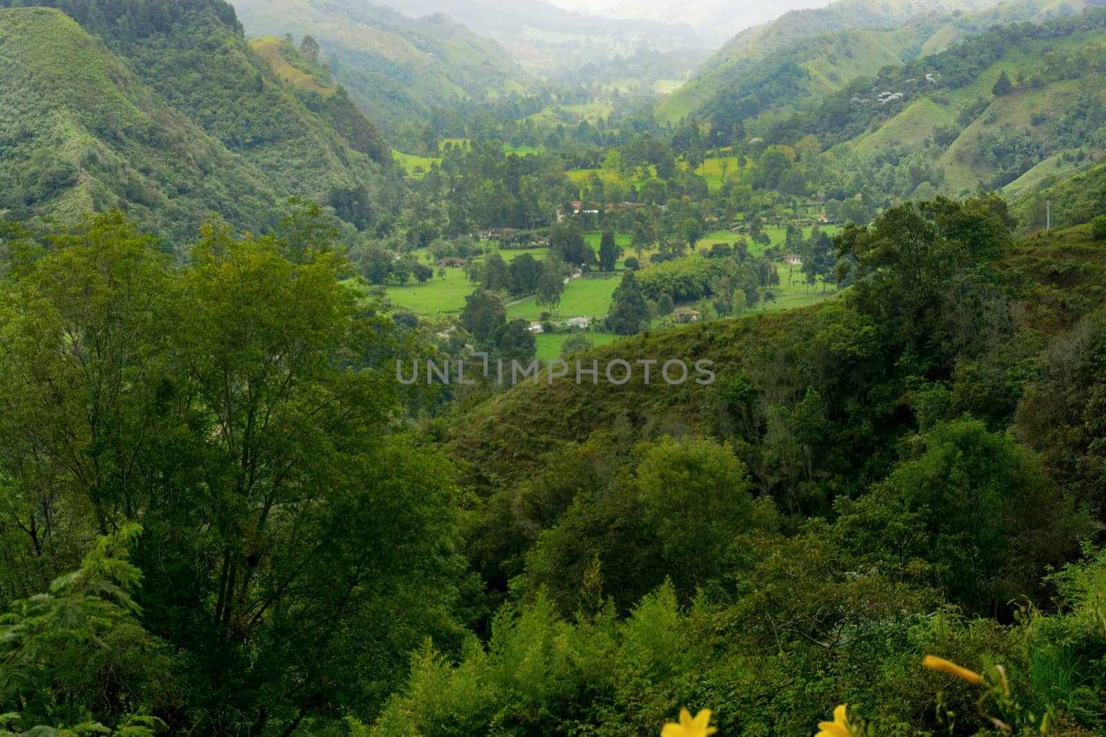 Vibrant green landscape in the Quindio department near Salento, Colombia