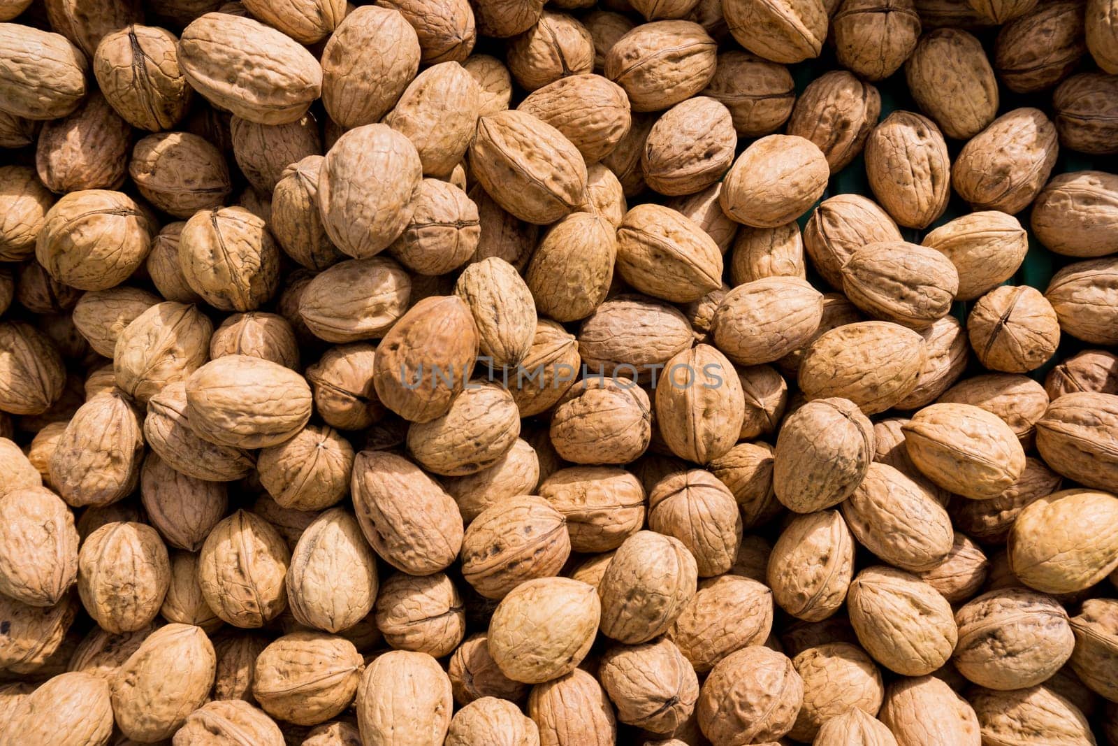 Walnut background