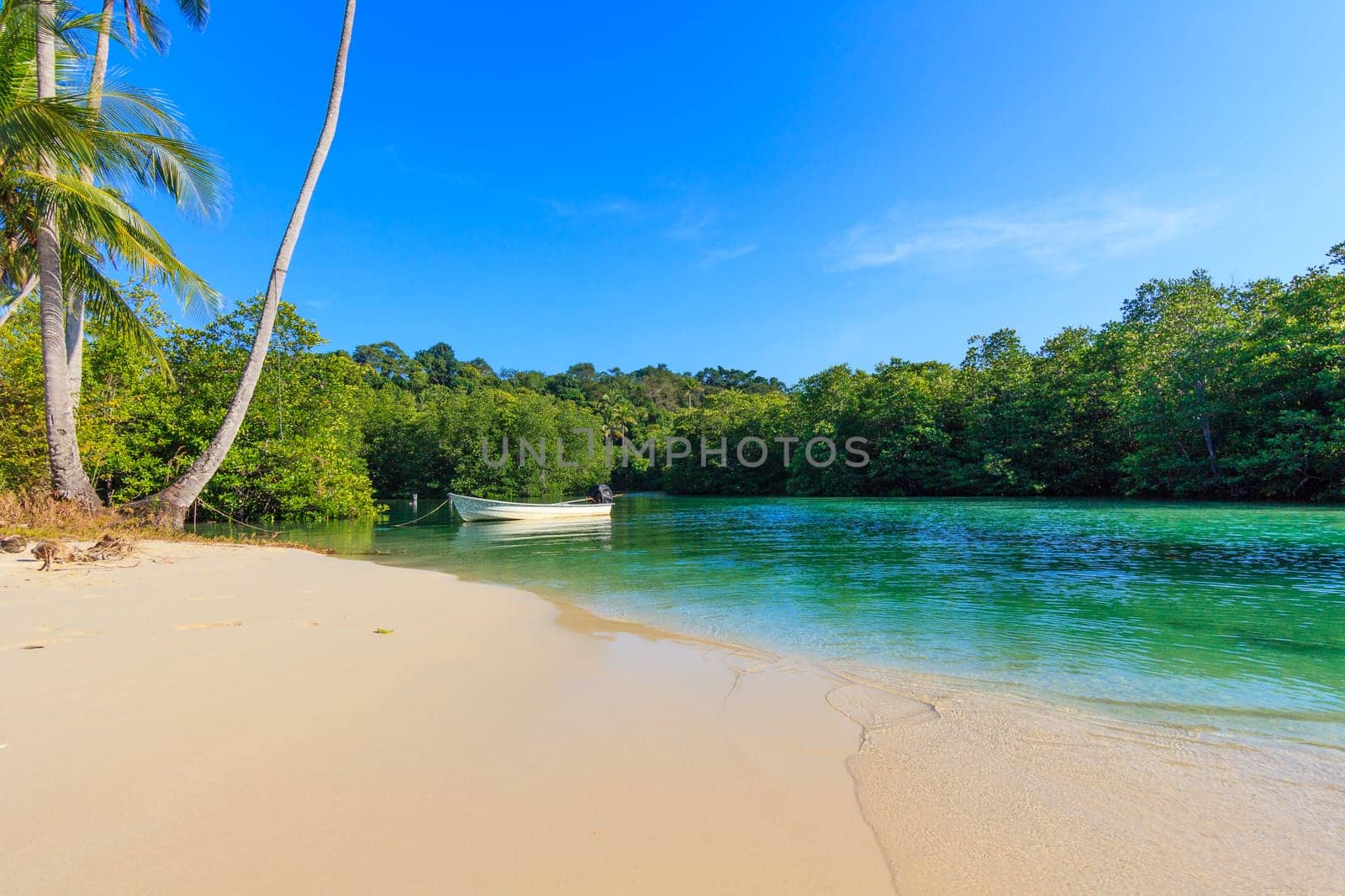 Beach in sunset time. tropical beach.  Paradise beach. Tropical Beach Summer Paradise Concept
