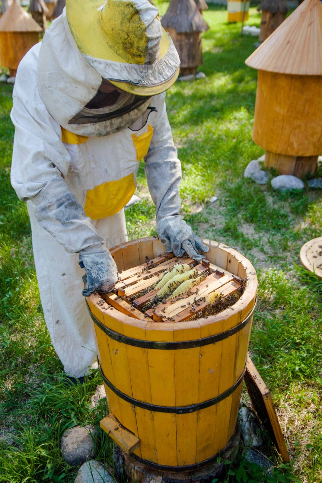 Beekeeper on apiary.  Working apiarist.  Beekeeper holding frame of honeycomb