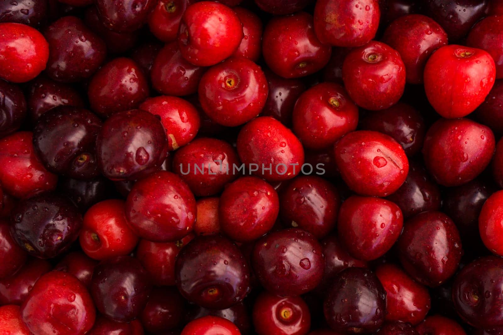 Sweet cherry.  cherry background