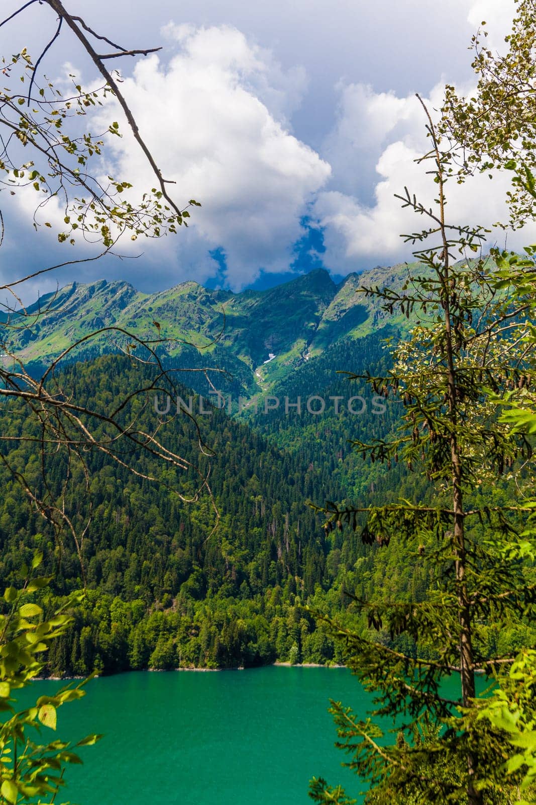 Beautiful landscape with lake, forest and mountains