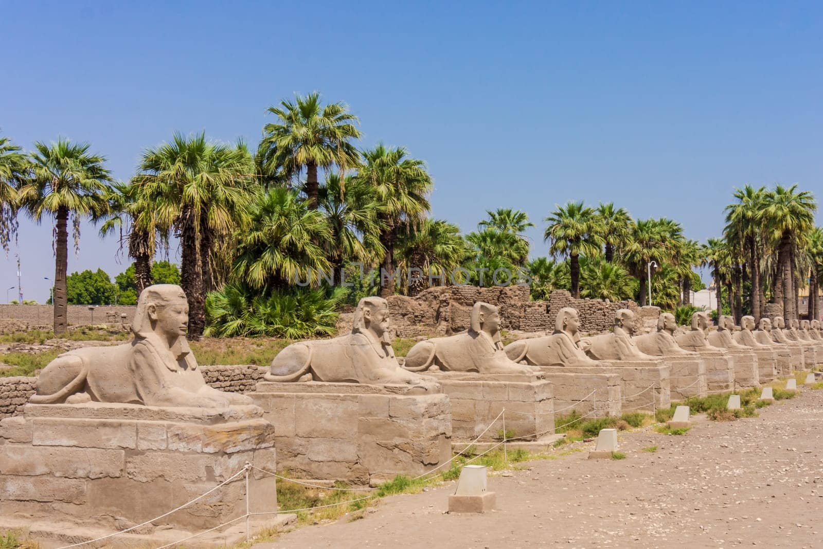 Egyptian sphinxes