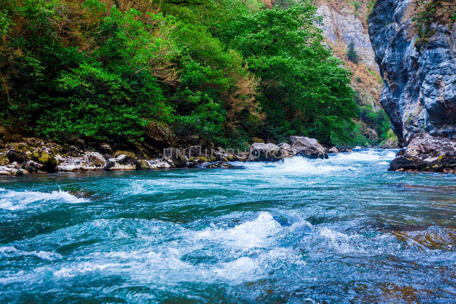 Beautiful view of mountain river in summer. Mountain river in the forest. Abkhazia. Beutiful landscape