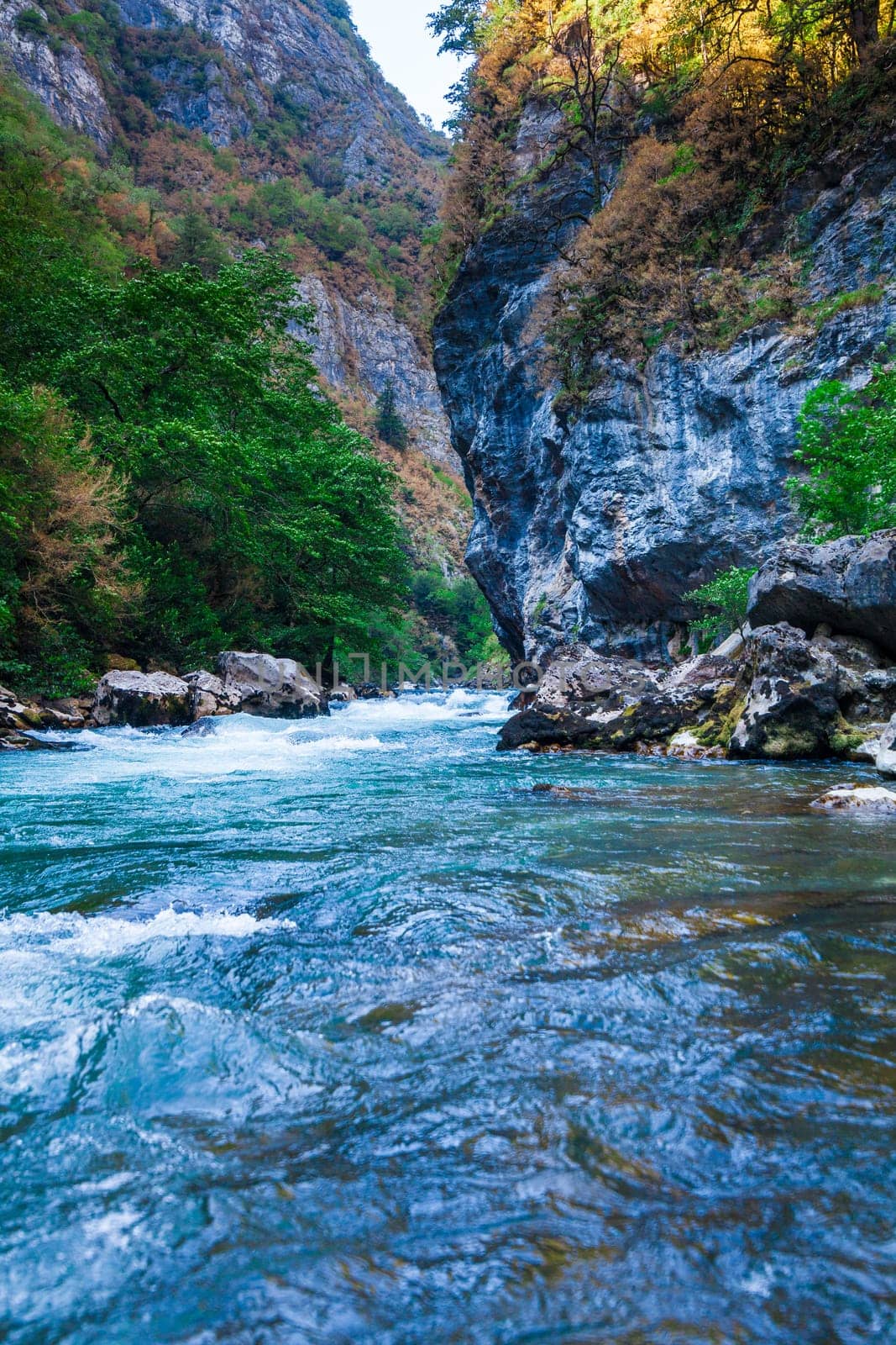 Beautiful view of mountain river in summer. Mountain river in the forest. Abkhazia. Beutiful landscape