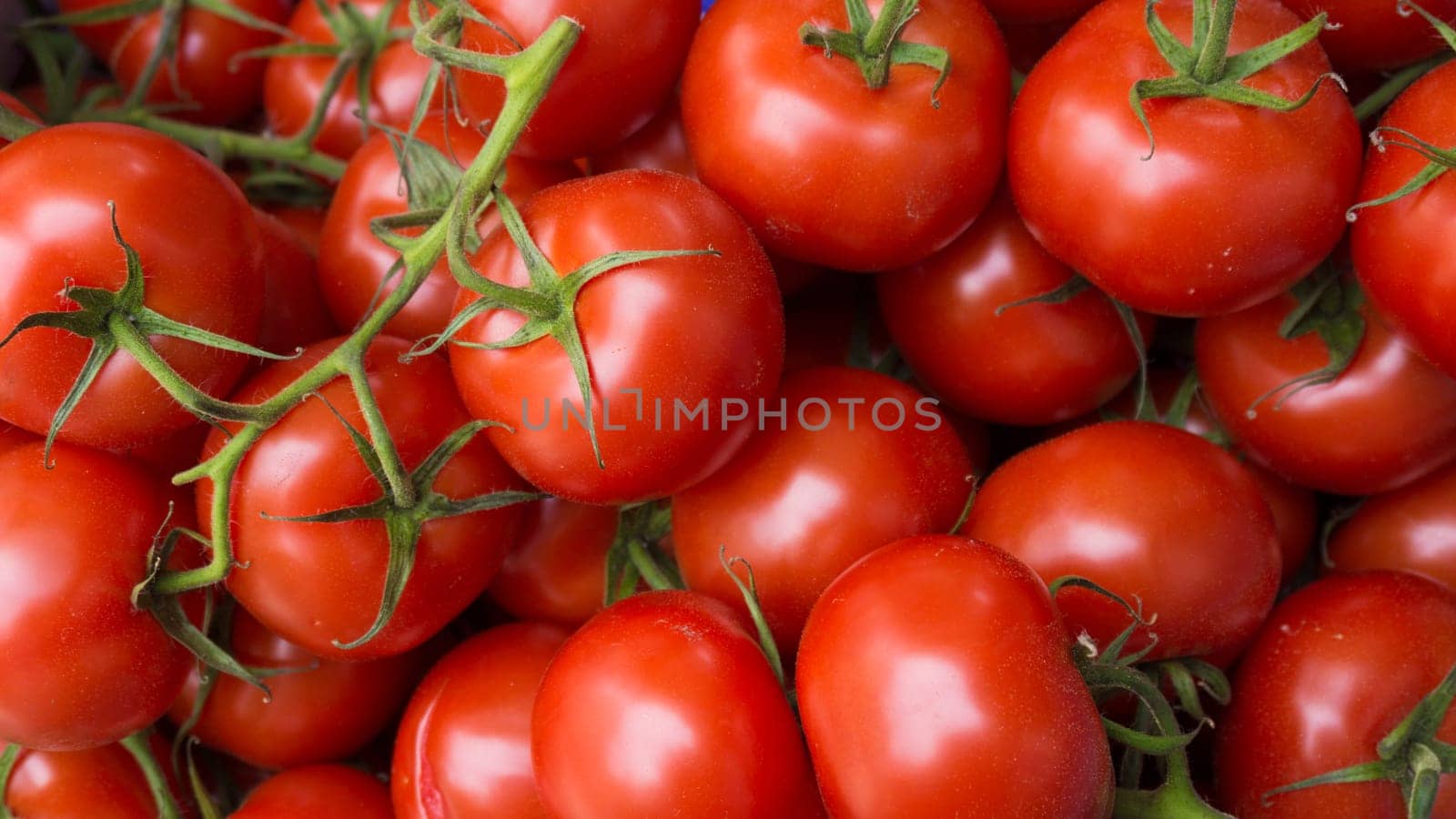 red tomatoes background. Group of tomatoes