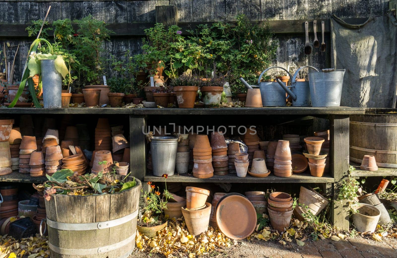 romantic idyllic plant table in the garden with old retro flower pot pots, garden tools and plants. Rustic table with flower pots, potting soil, trowel and plants