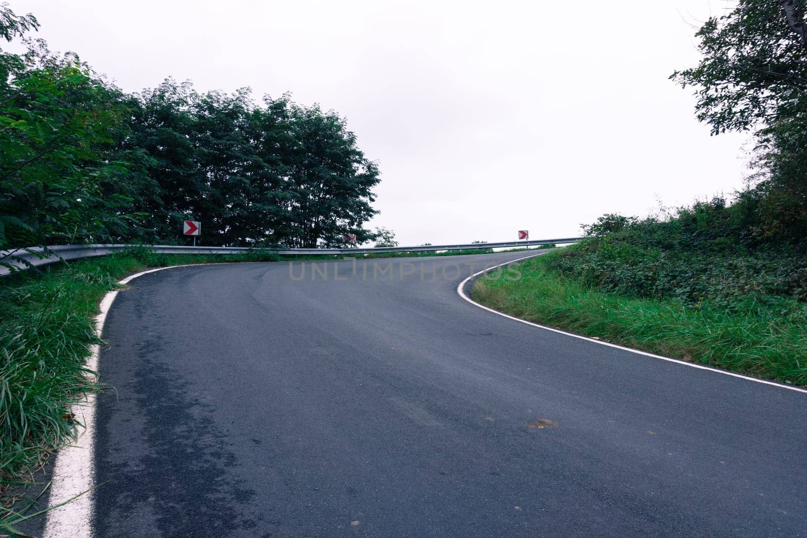 road in forest