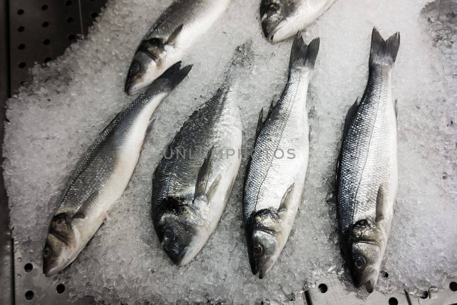 fresh fish on ice