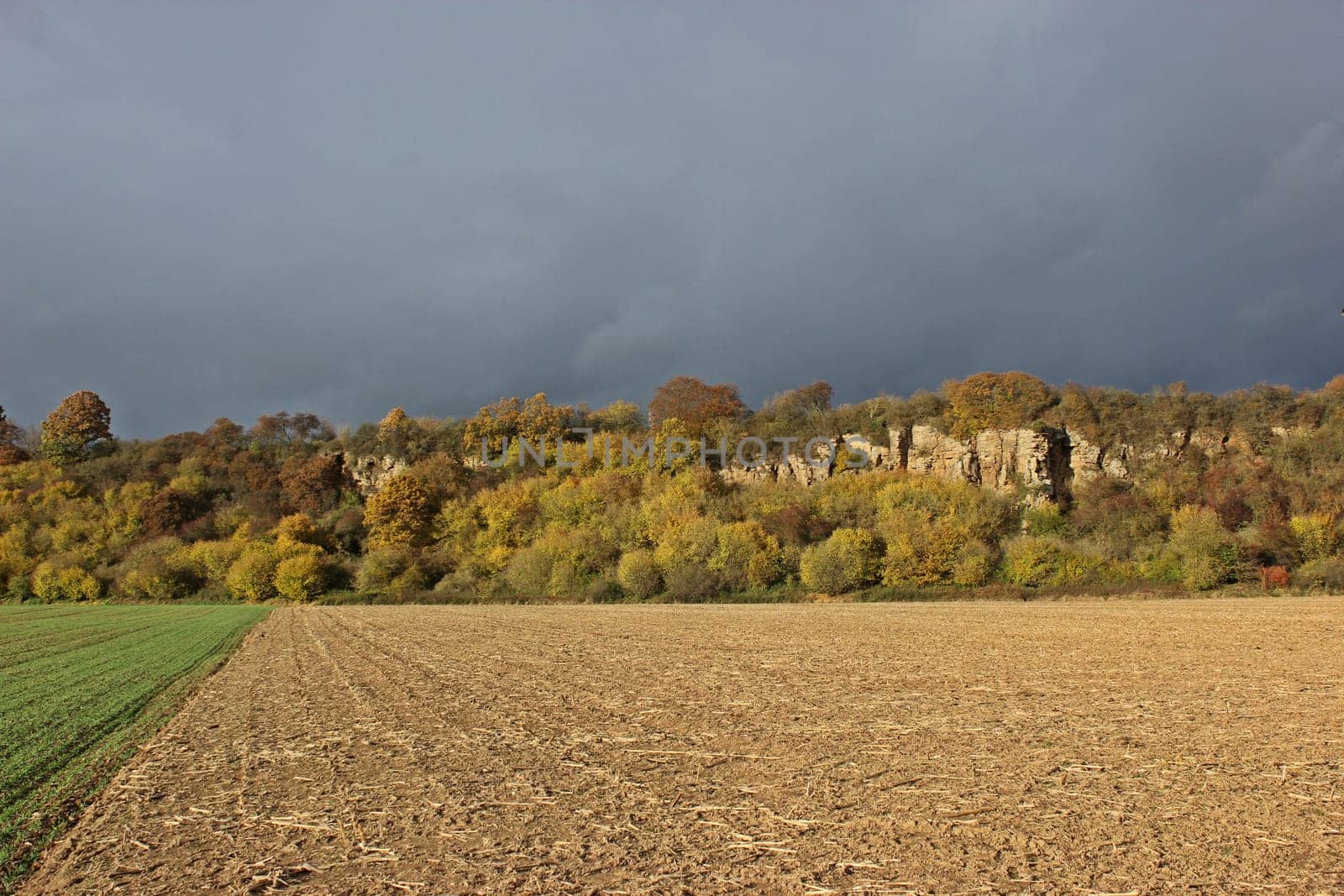 The Zechstein slopes near Lieschensruh in front of rain clouds