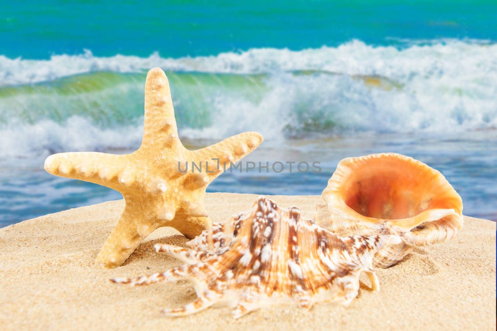 Summer background. Beauty summer background for summer time .Starfish on summer background