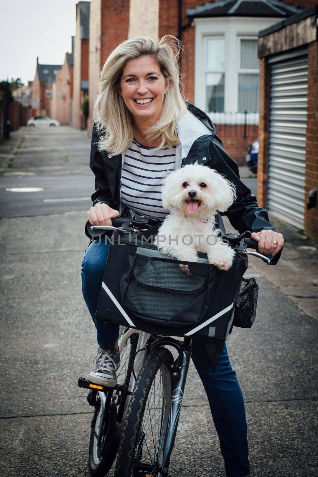 Mature woman sitting on her bike with her pet Bichon Frise in a basket on the front. They are both looking at the camera the woman is smiling and the dog has it's tongue out.