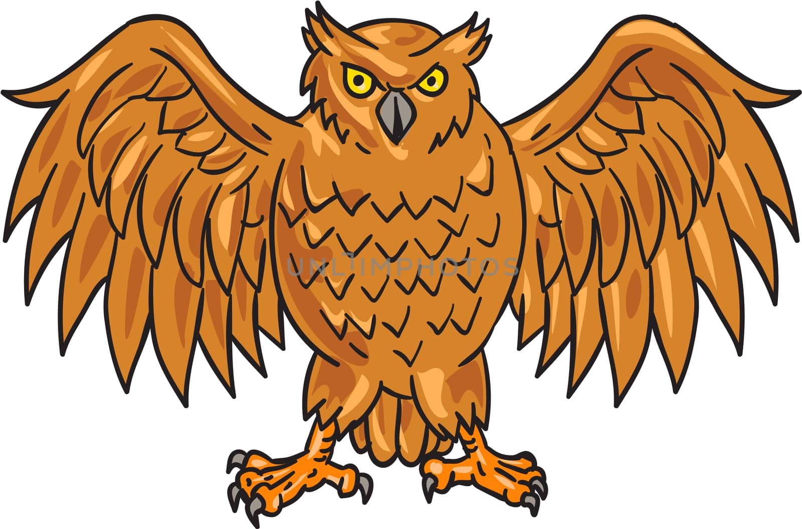 Drawing sketch style illustration of an angry owl facing front with spread wings set on isolated white background.