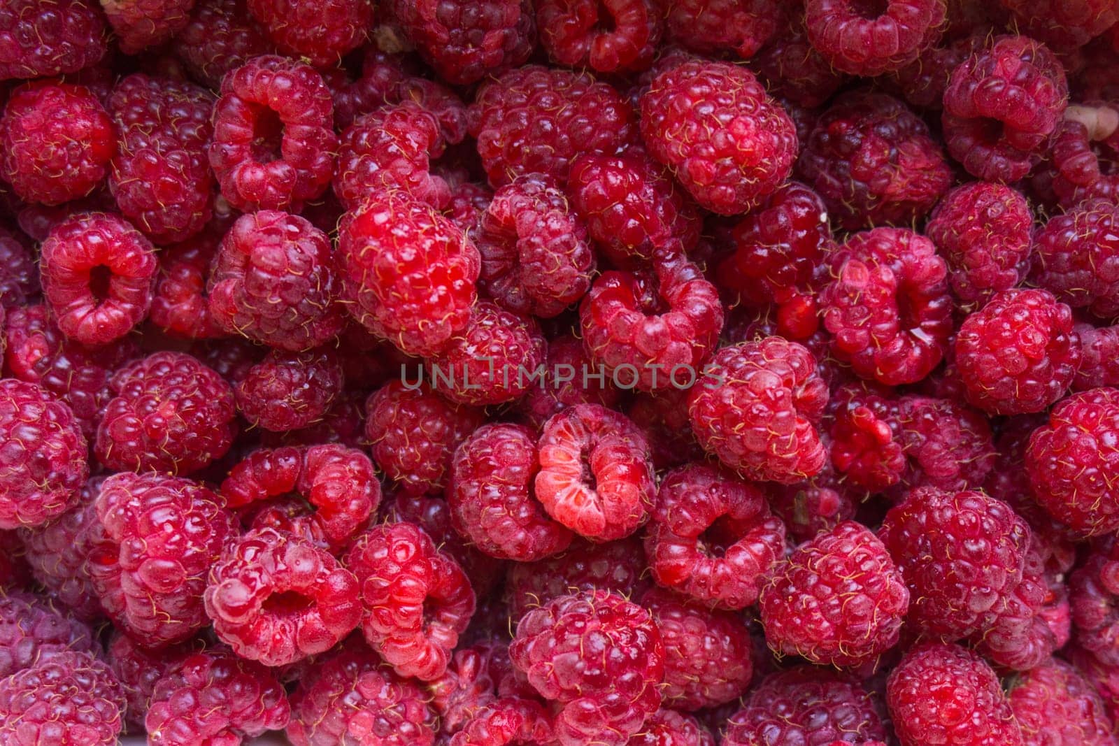 raspberries background