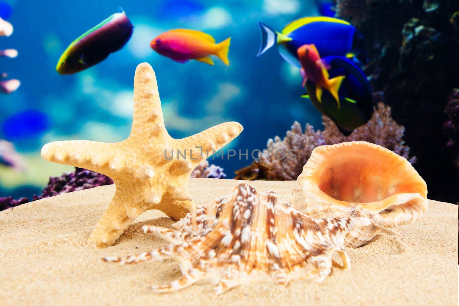 Summer time background. Summer concept