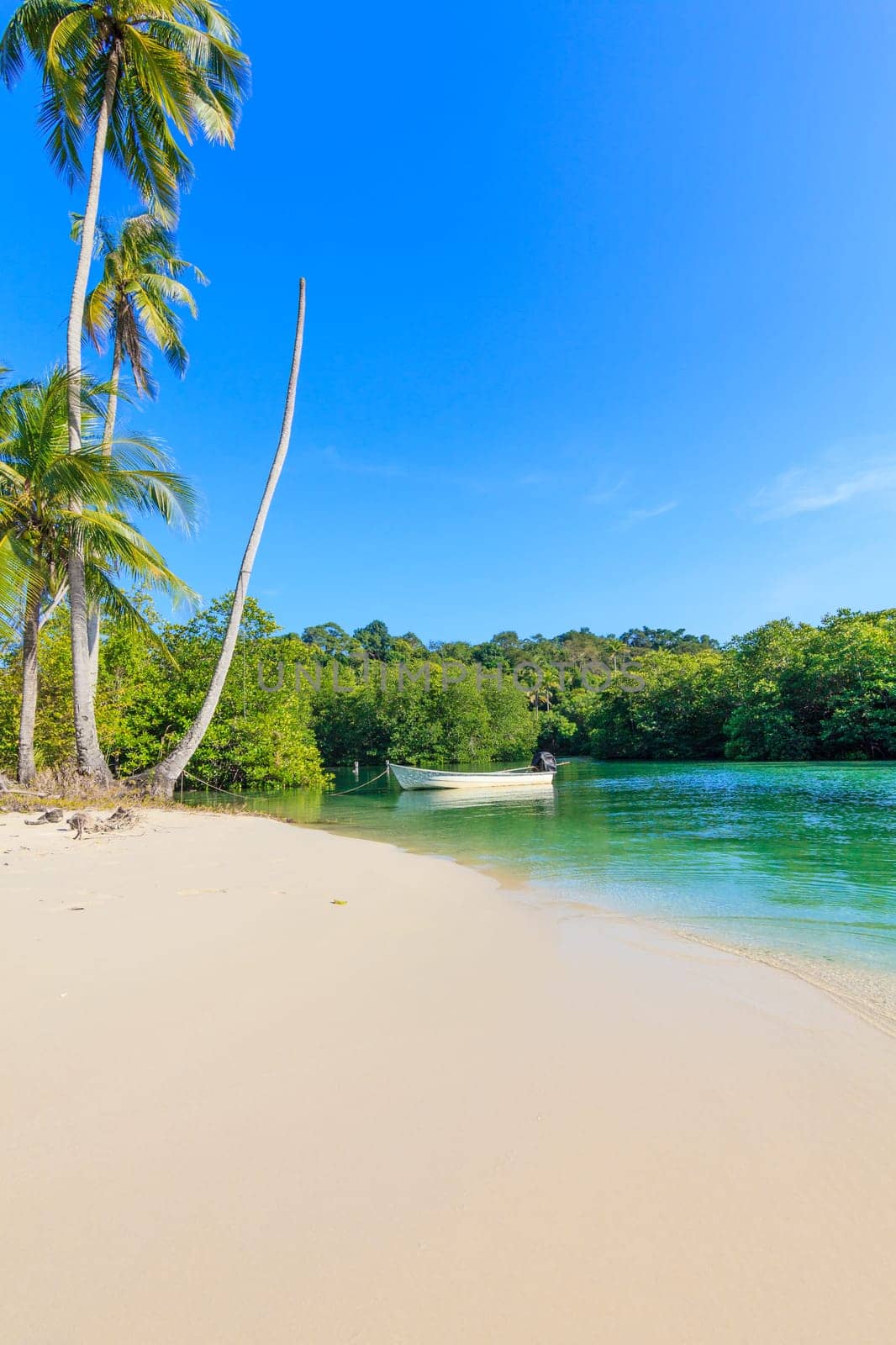Beach in sunset time. tropical beach.  Paradise beach. Tropical Beach Summer Paradise Concept