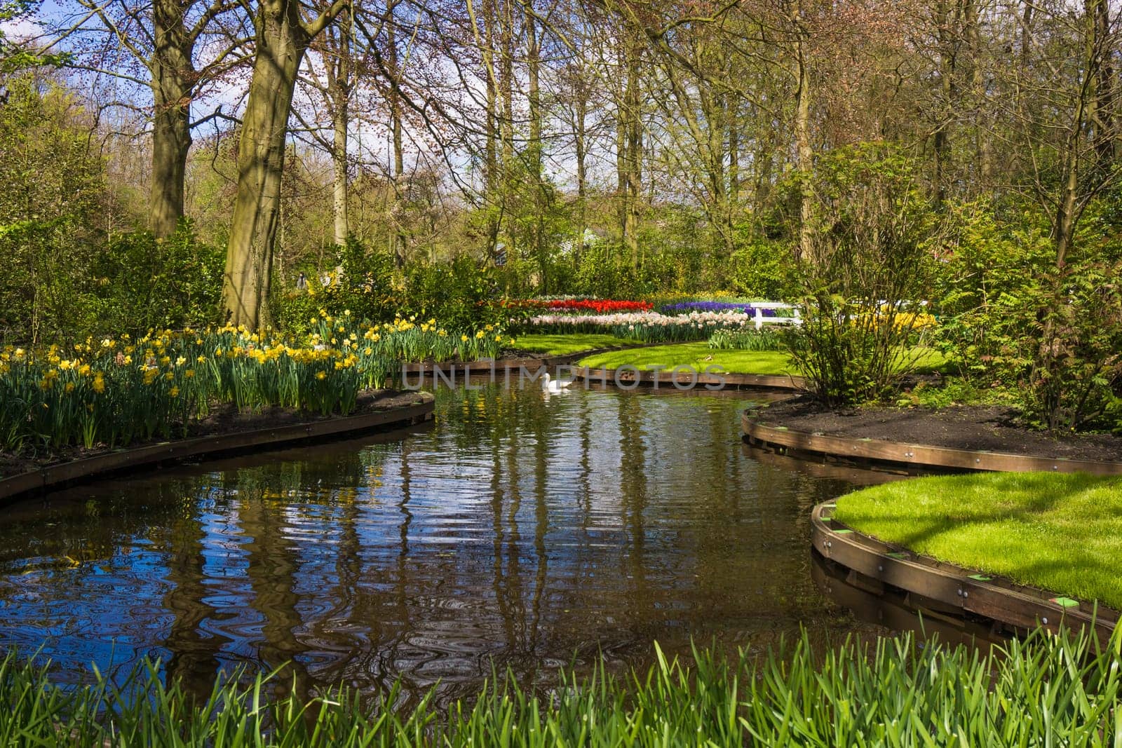 beautiful garden. Park