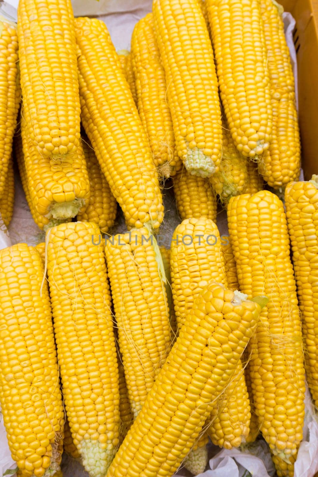 Corn cobs