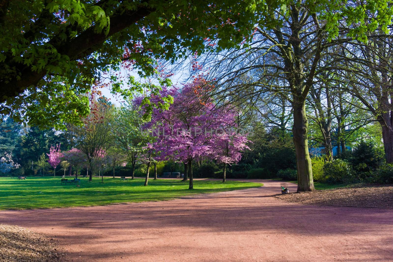 Beautiful park.  Beautiful landscape. Garden