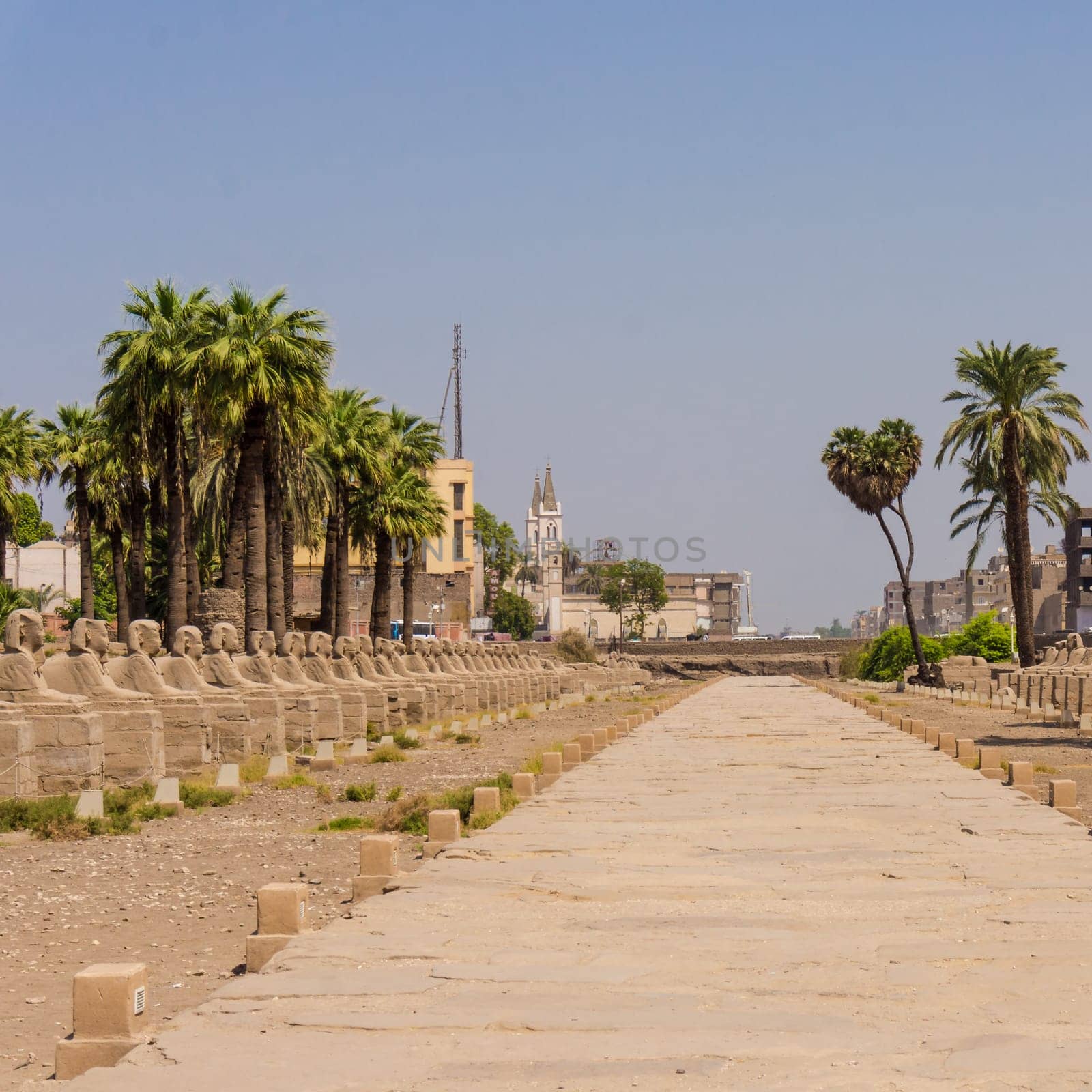Egyptian sphinxes
