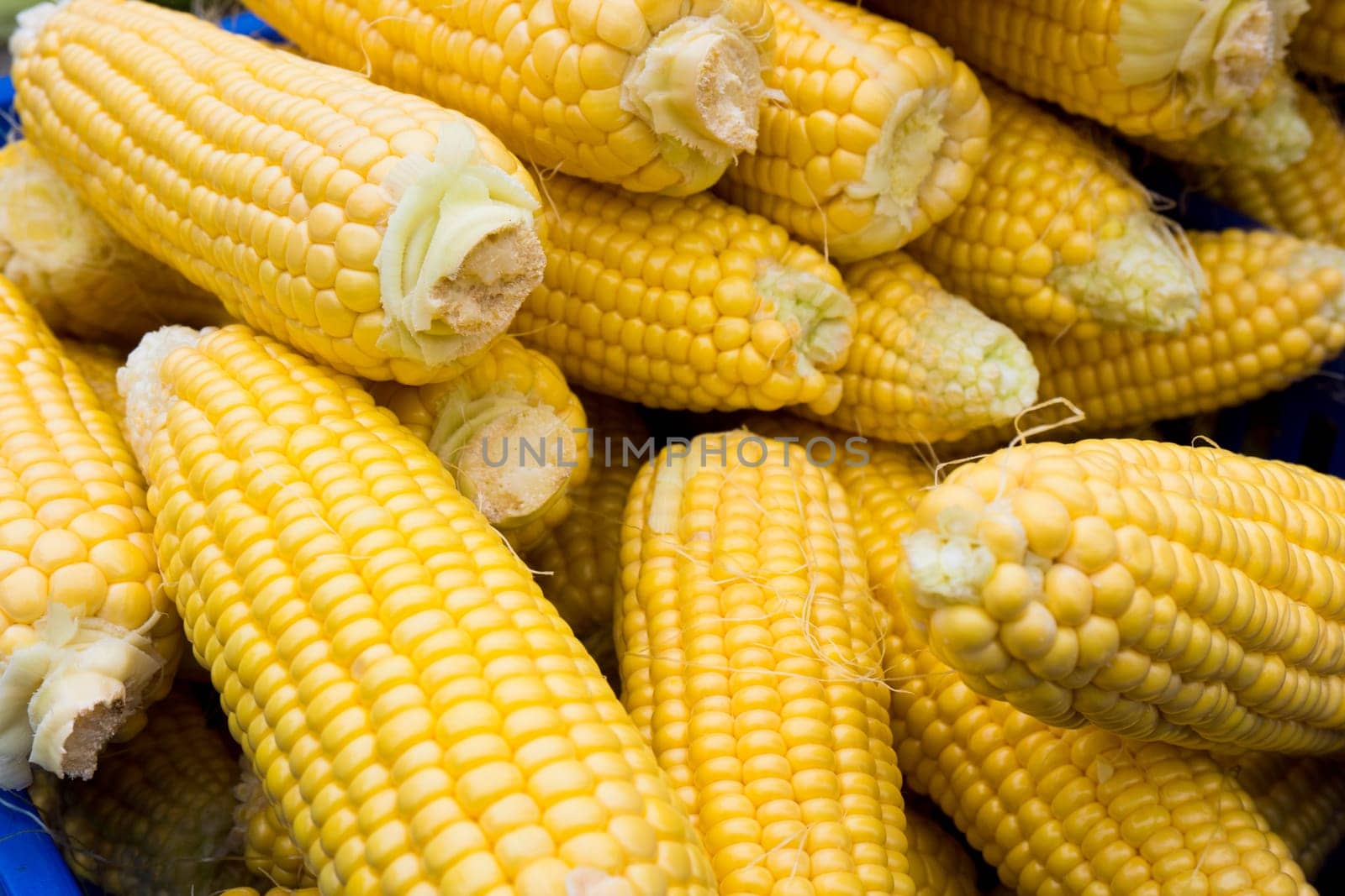 Corn cobs