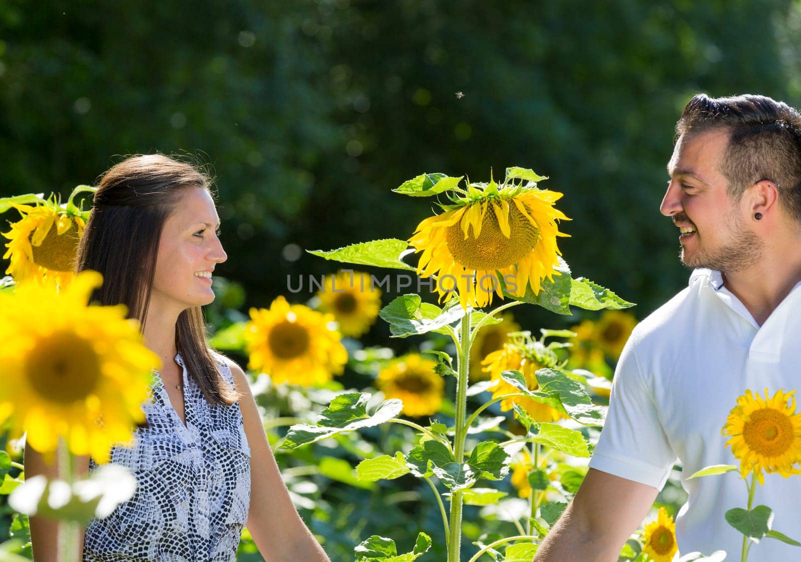 Happy young couple in the sunflower field,engagement,Bavaria,Germany