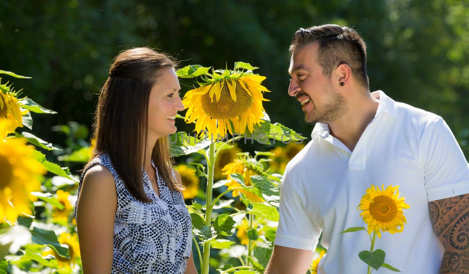 Happy young couple in the sunflower field,engagement,Bavaria,Germany