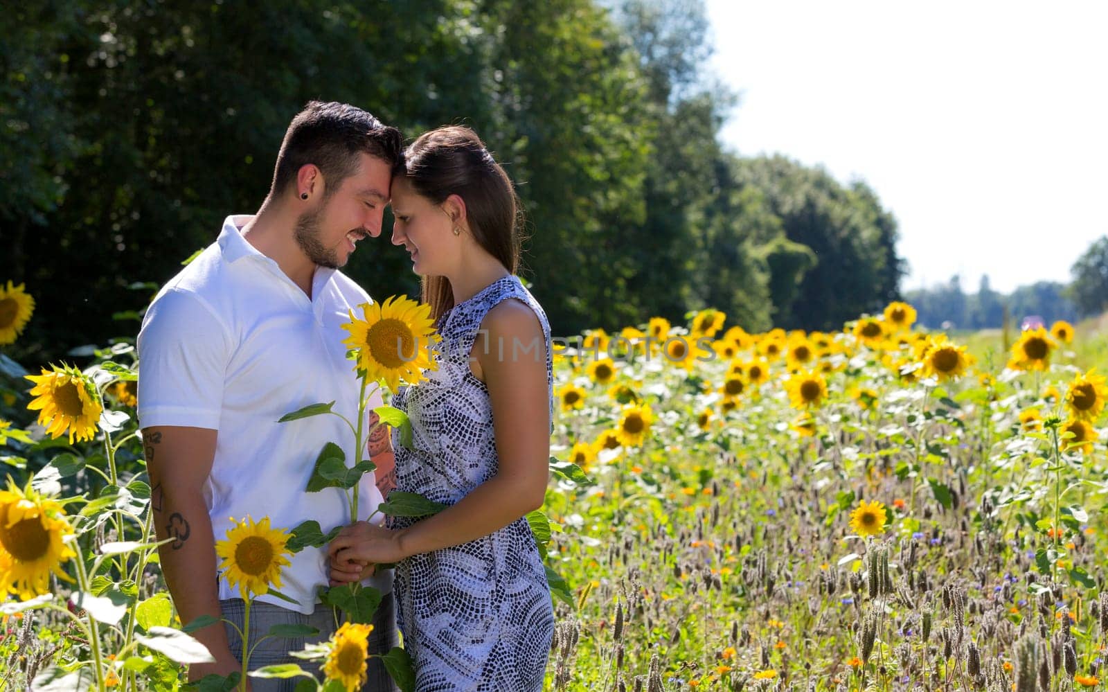 Happy young couple in the sunflower field,engagement,Bavaria,Germany
