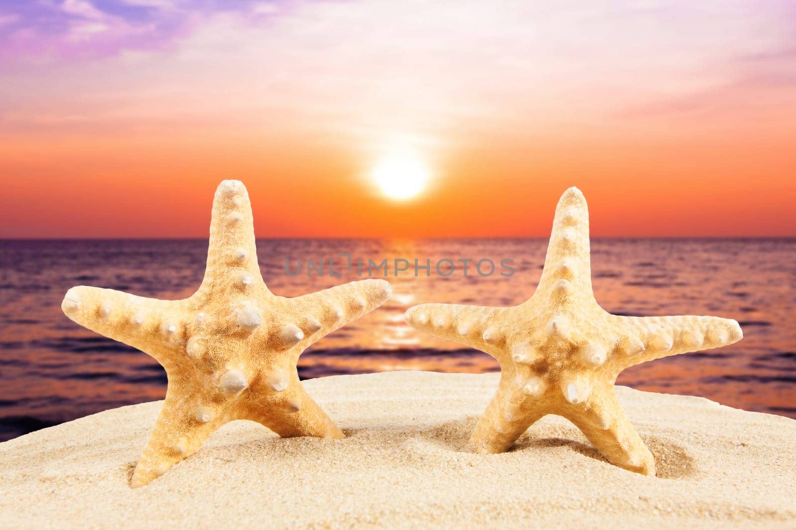 Summer concept.  starfish on a beach