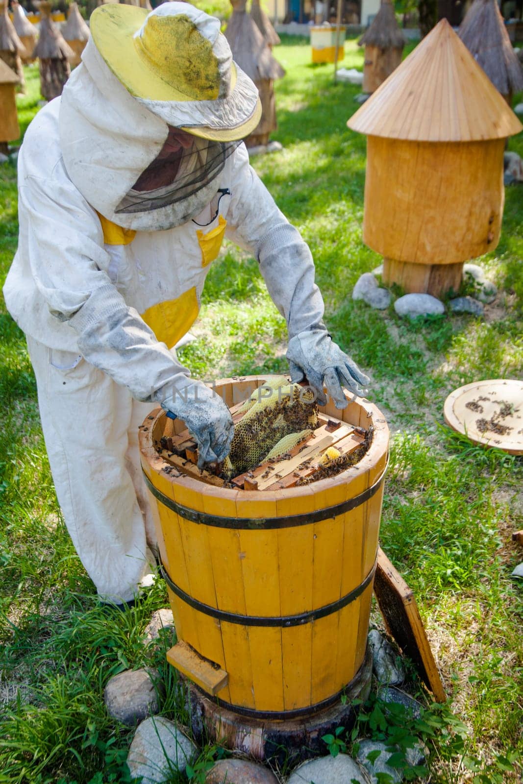 Beekeeper on apiary.  Working apiarist.  Beekeeper holding frame of honeycomb