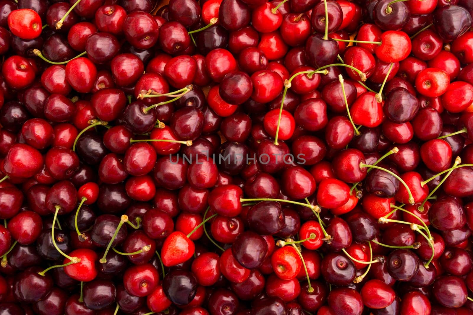 red cherry background.  Red ripe delicious cherries