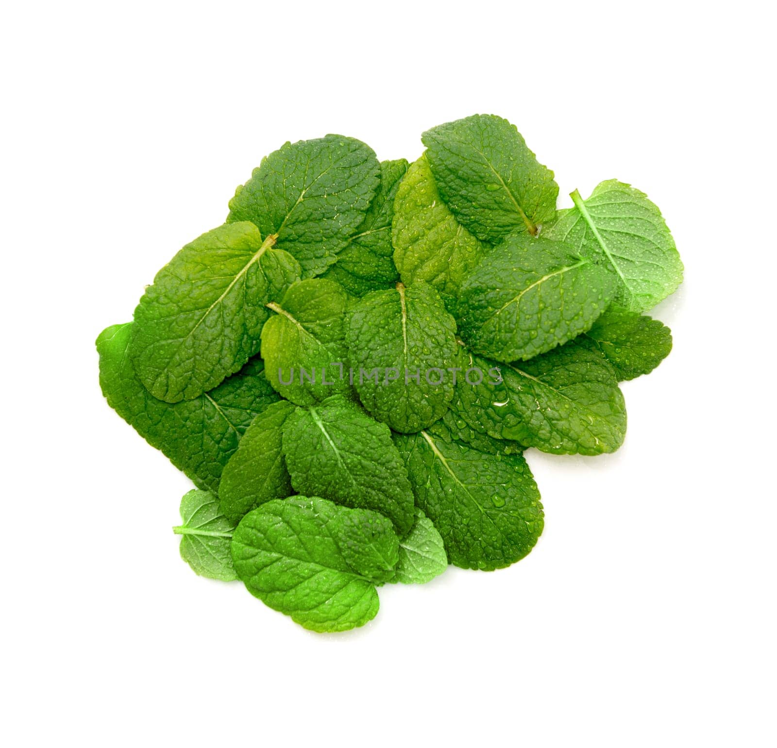 close up on fresh mint on white background