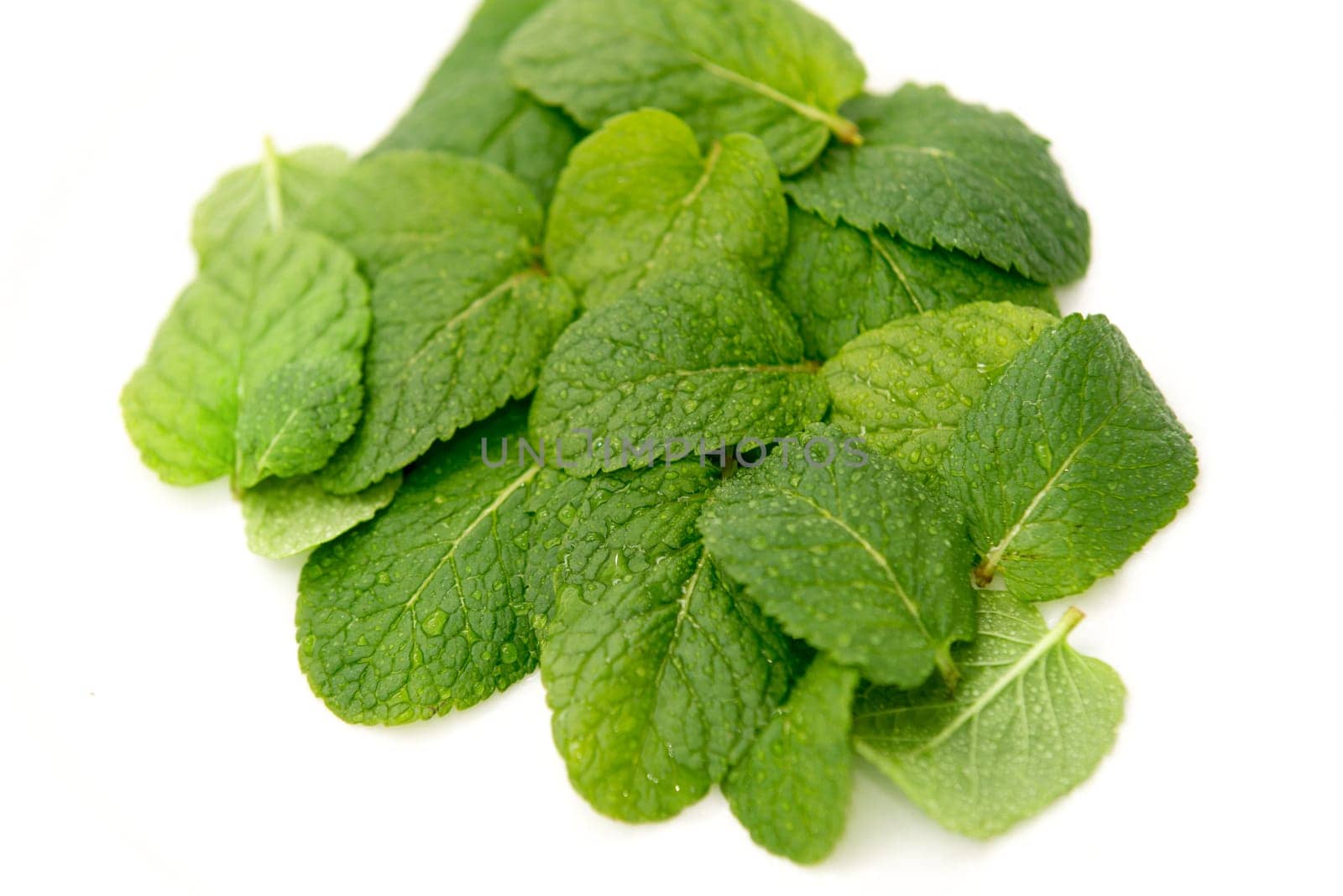close up on fresh mint on white background